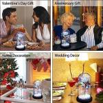 DHAVAL Rainbow LED Rose in Acrylic Dome: The for Mom, Sisters, or Friends on Birthdays and Anniversaries (Plastic Pack of 1)