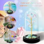 DHAVAL Rainbow LED Rose in Acrylic Dome: The for Mom, Sisters, or Friends on Birthdays and Anniversaries (Plastic Pack of 1)