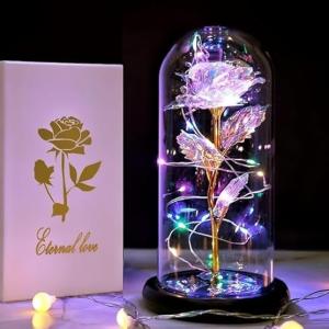 DHAVAL Rainbow LED Rose in Acrylic Dome: The for Mom, Sisters, or Friends on Birthdays and Anniversaries (Plastic Pack of 1)
