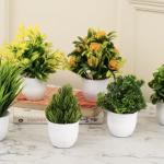 GREEN GARDEN Mini/Small Pack of6 बोनसाई जंगली नकली पौधा पॉट के साथ (15 cm)