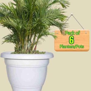GARDEN POINT 10 INCH POT