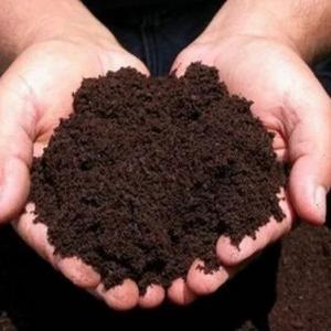 KUSHWAHA NURSERY 100% Pure Organic Vermicompost – 2kg (Powder Form)